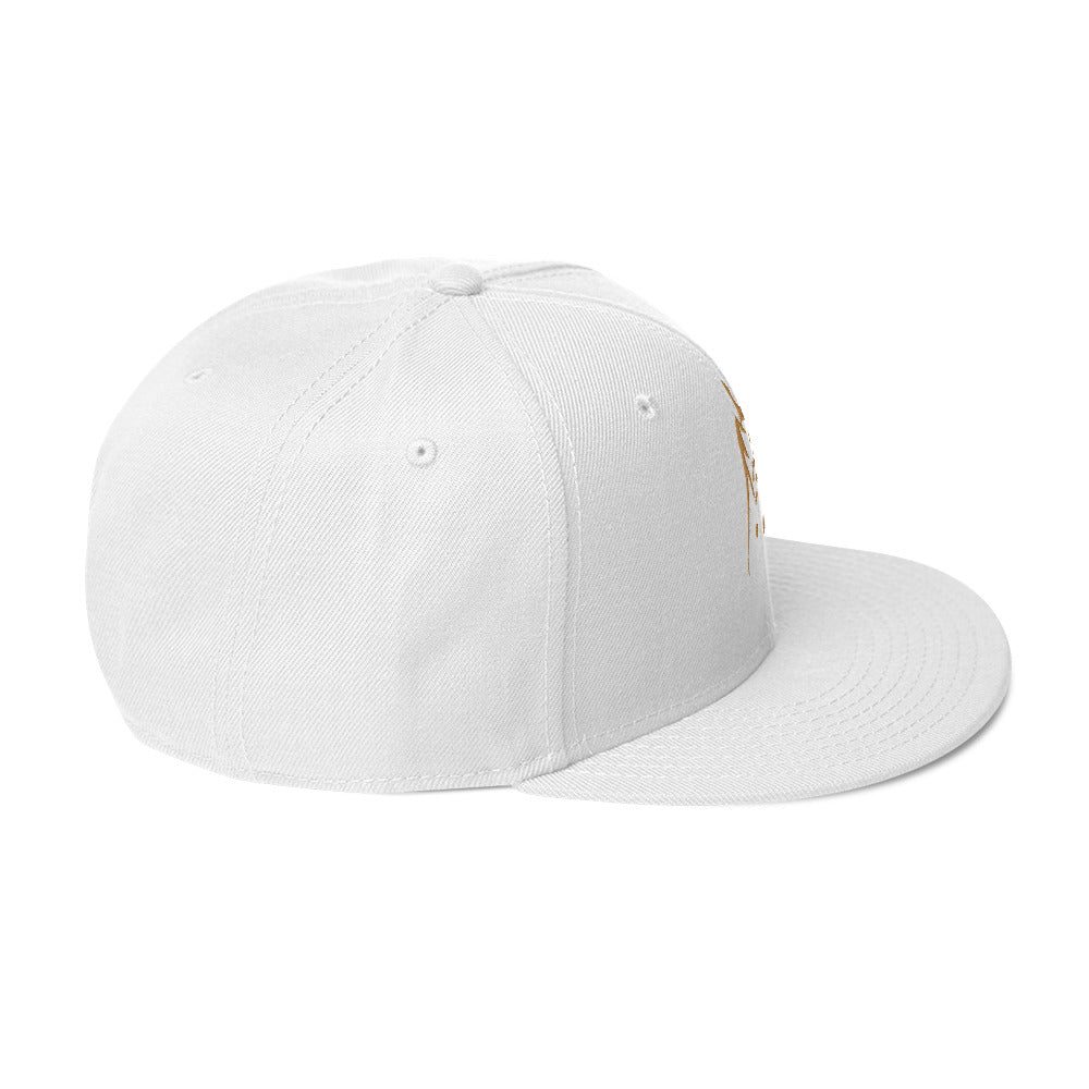 Snapback Hat (Otto)